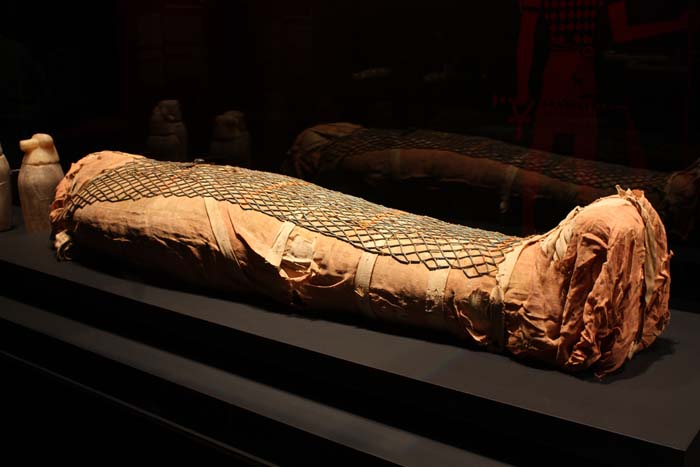 Exhibición de momias en un museo